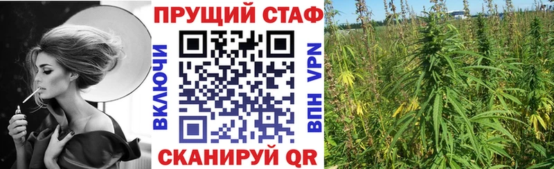 Купить Кокаин АМФ Гашиш Alpha PVP МАРИХУАНА МЕФ Новая Ладога