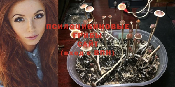 spice Заволжск