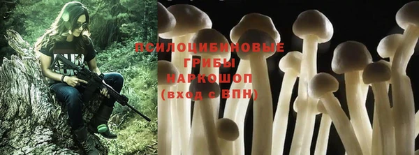 apvp Заволжье