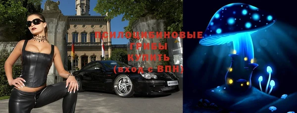 СК Заводоуковск