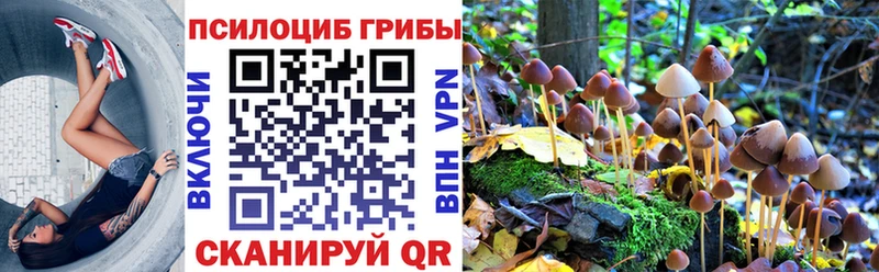 Купить закладки  Новая Ладога  Галлюциногенные грибы MAGIC MUSHROOMS 